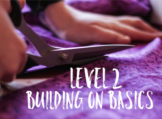 Level 2 Building on Basics- Weekend Workshop